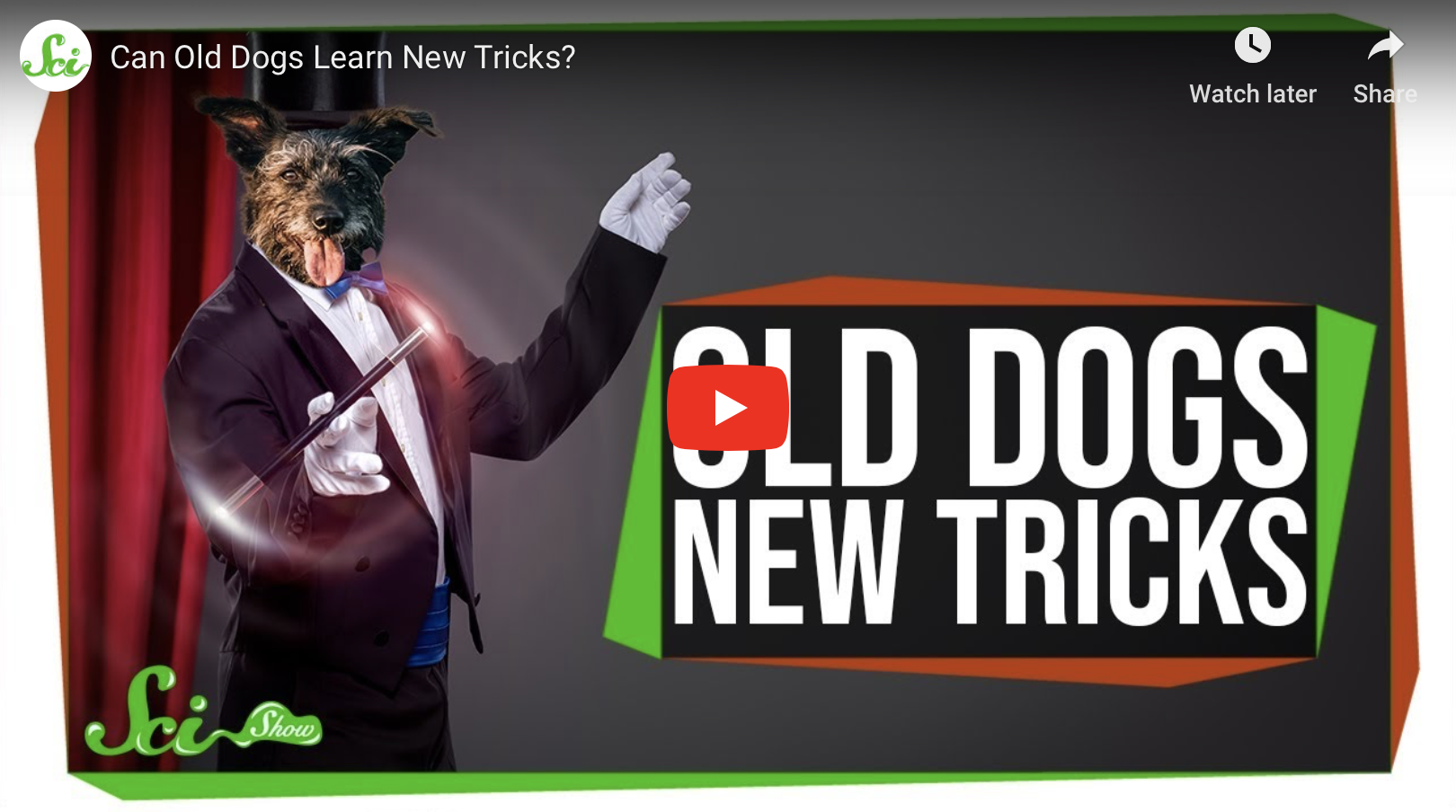 Can Old Dogs Learn New Tricks?