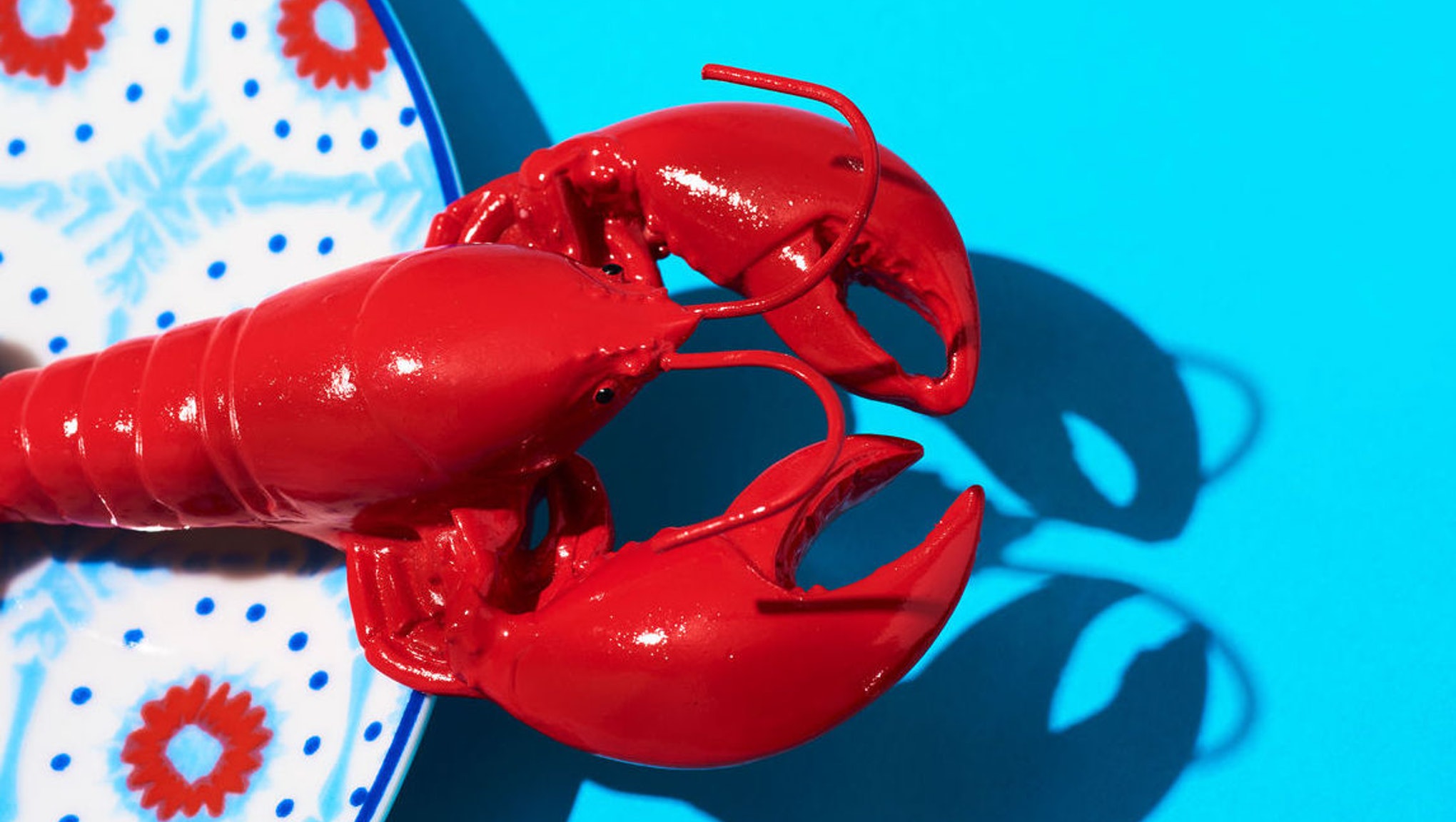 How to eat lobster like you know what you're doing