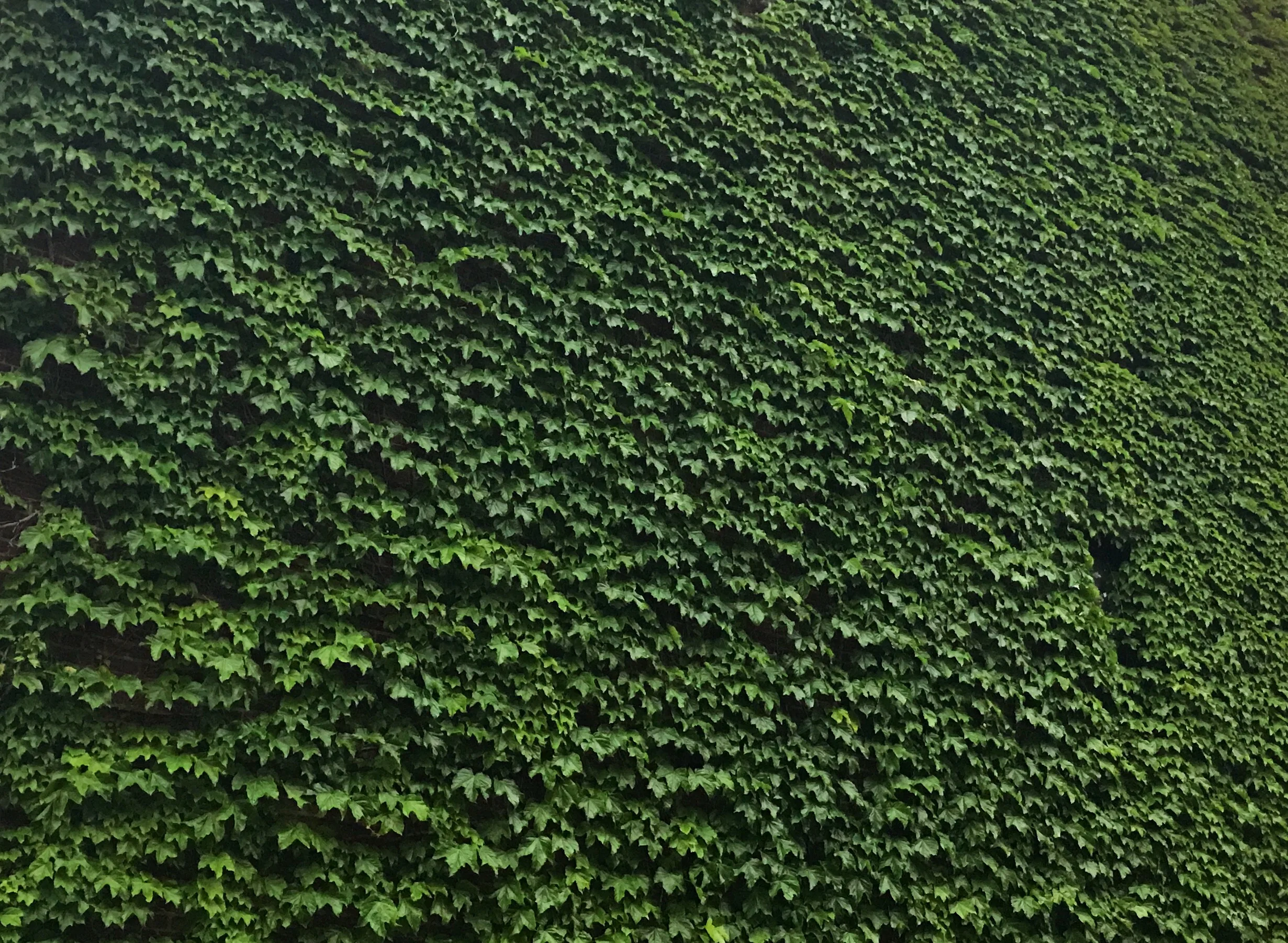 Perfection is overrated