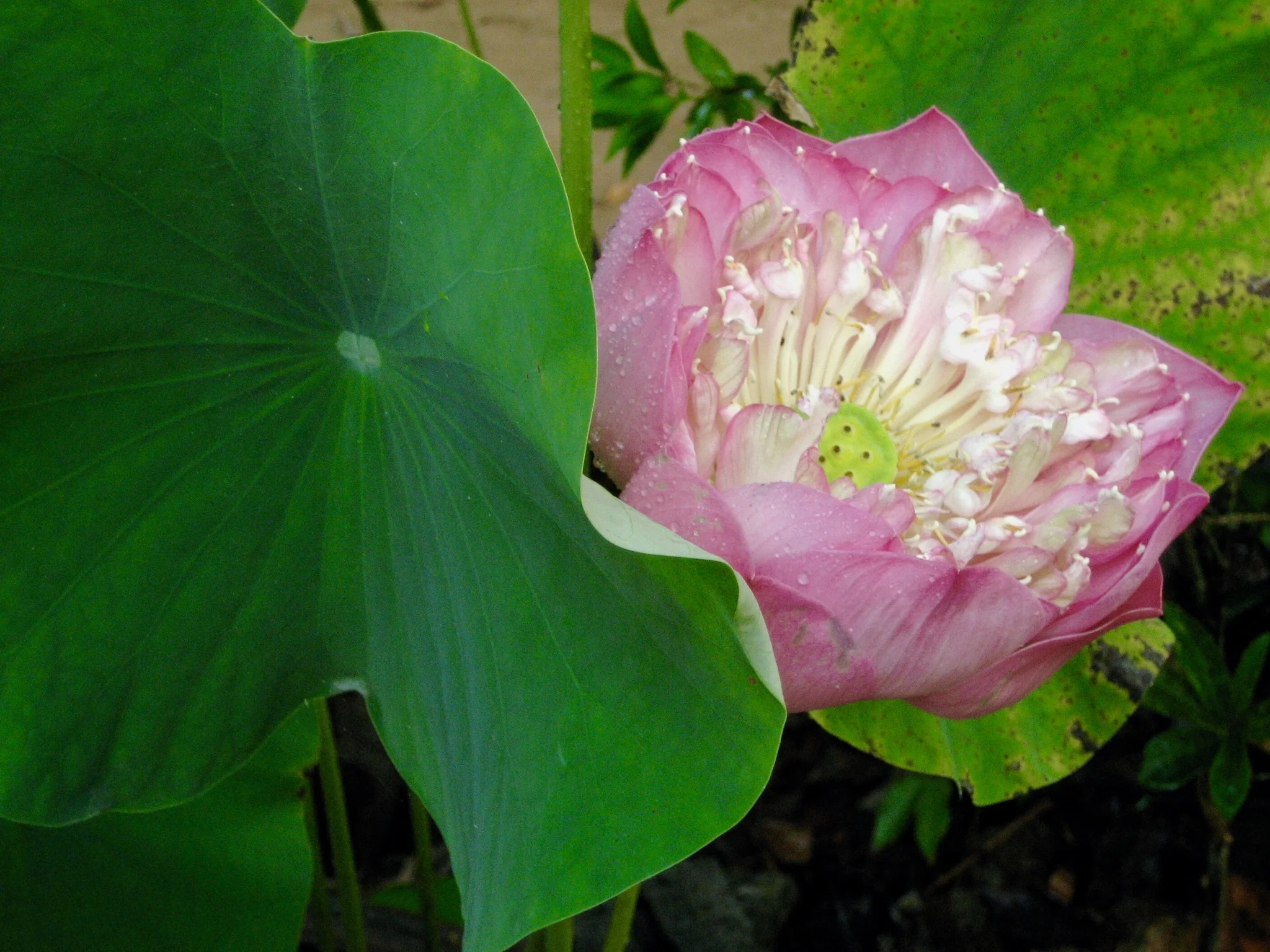 Storage strategy part 2