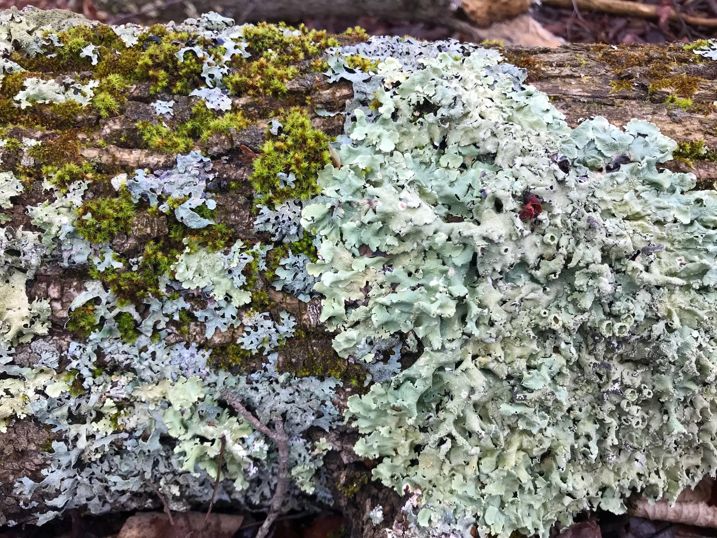 Identifying Stagnation