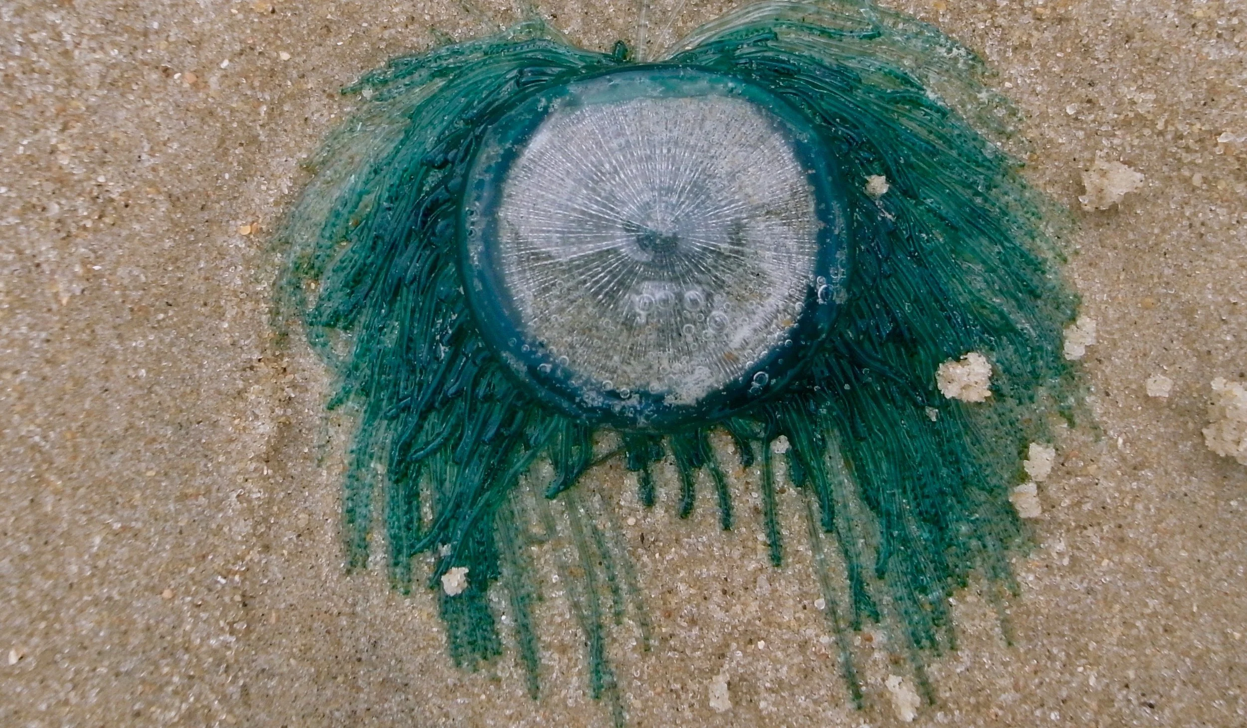 The Devil is in the Details