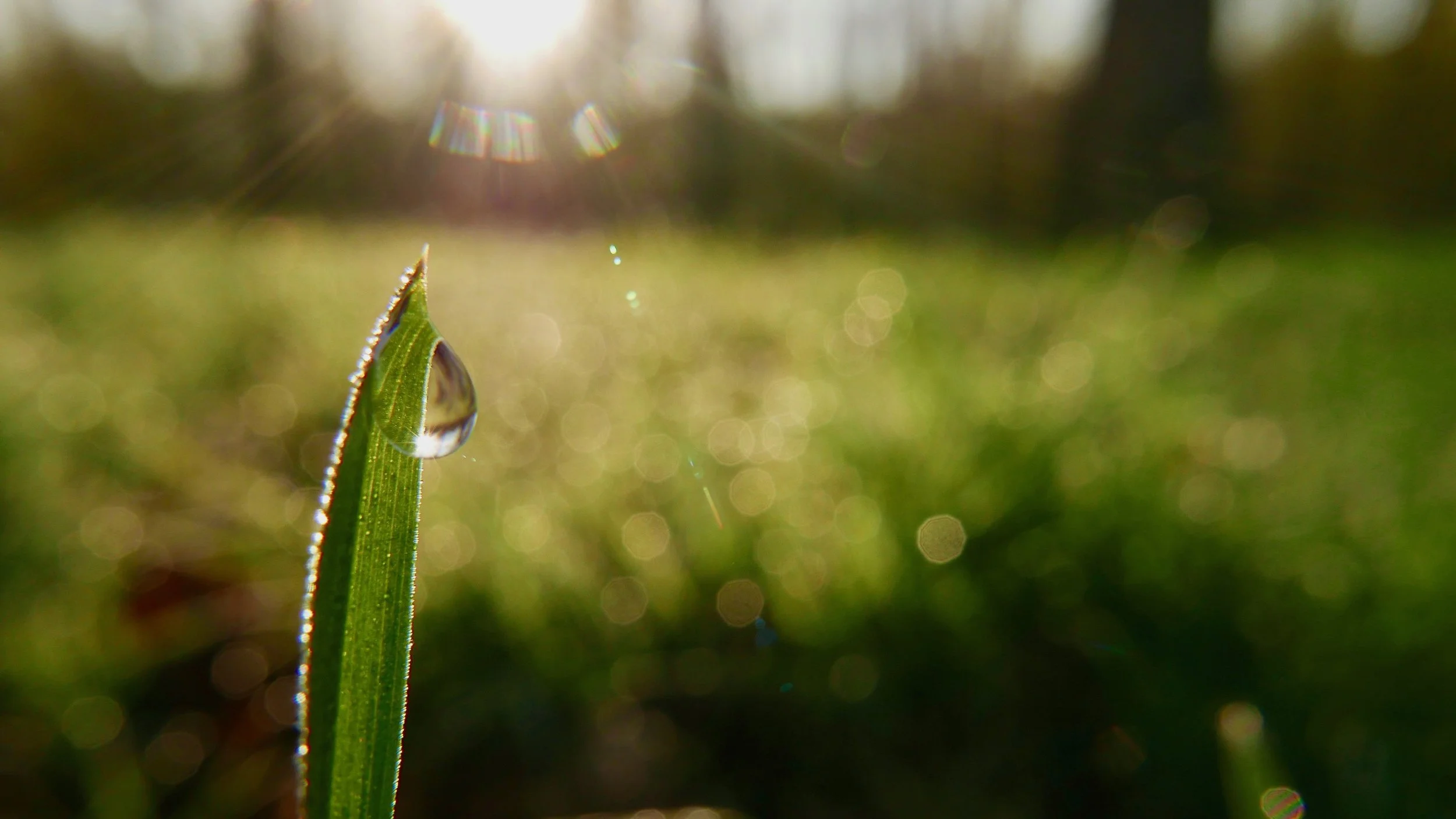 Let’s Get Vulnerable