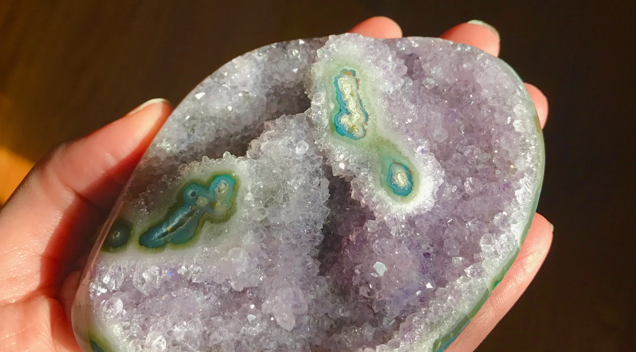 Essential Focus: Protection