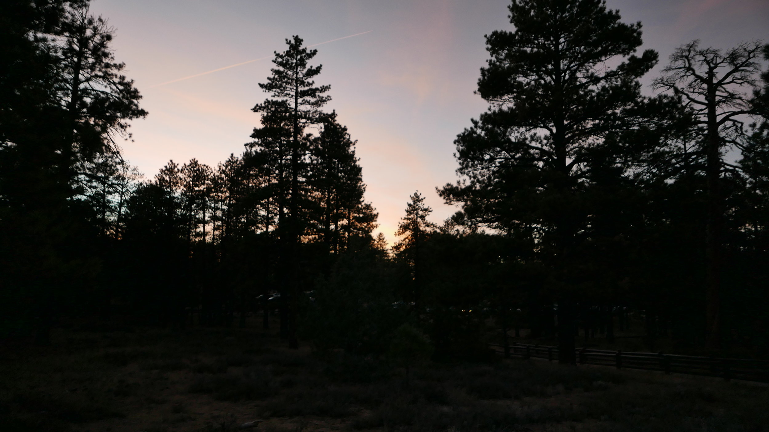 Essential Focus: Frankincense