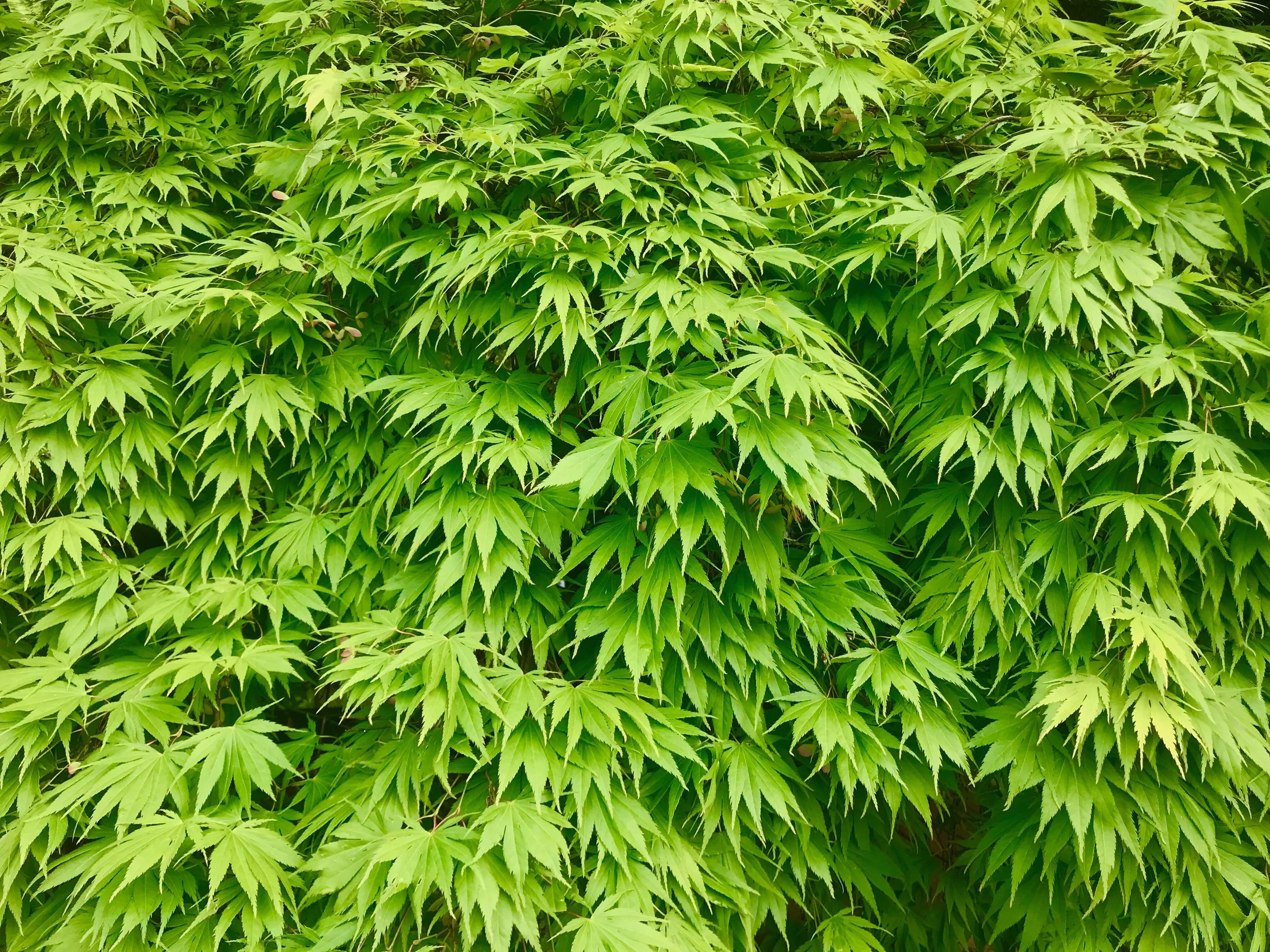 Vertical Storage Ideas