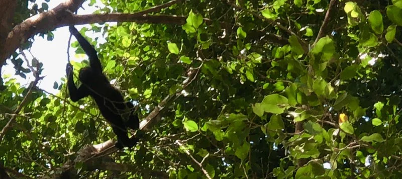 If At First You Don’t Succeed . . .