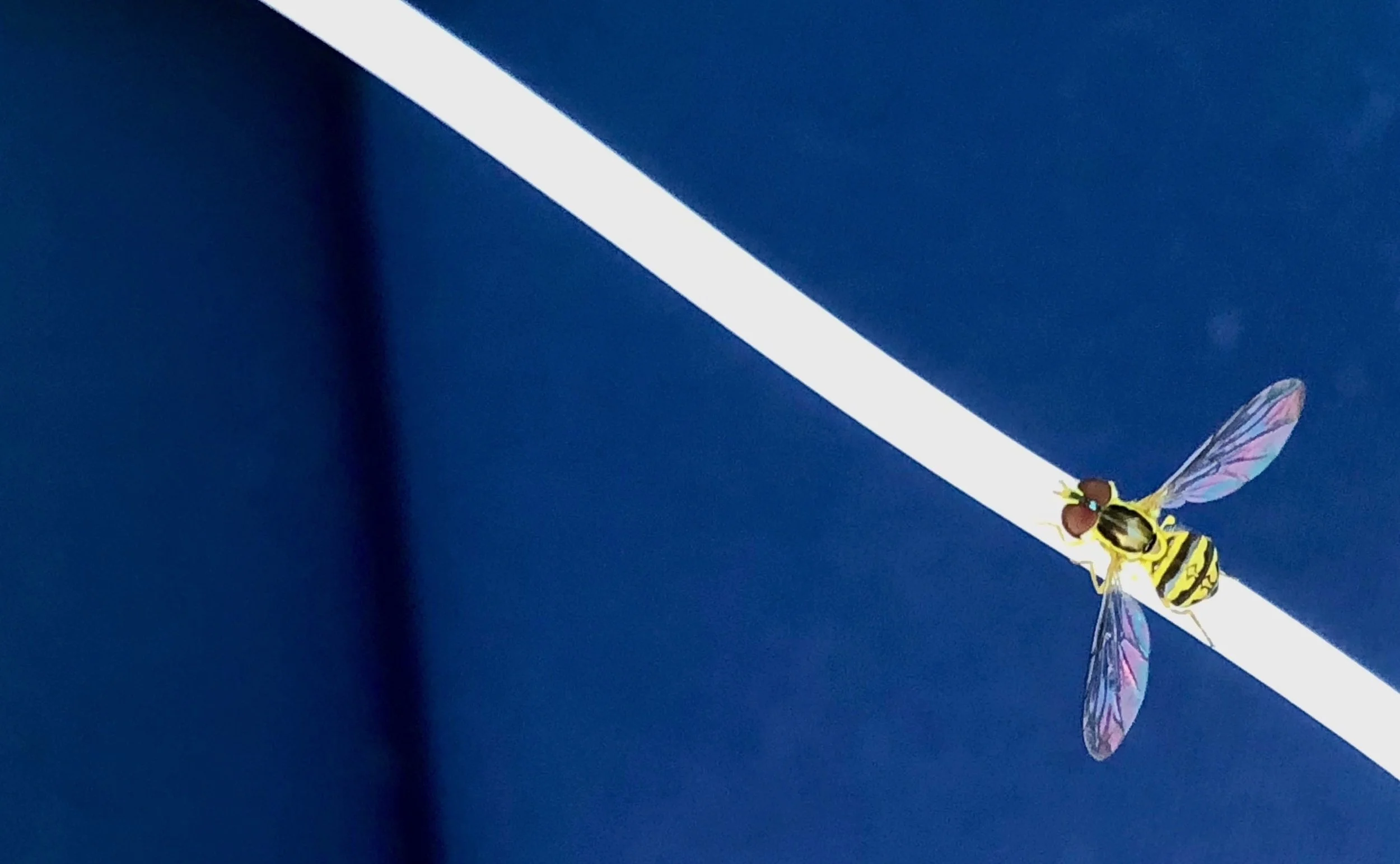 What’s bugging you?