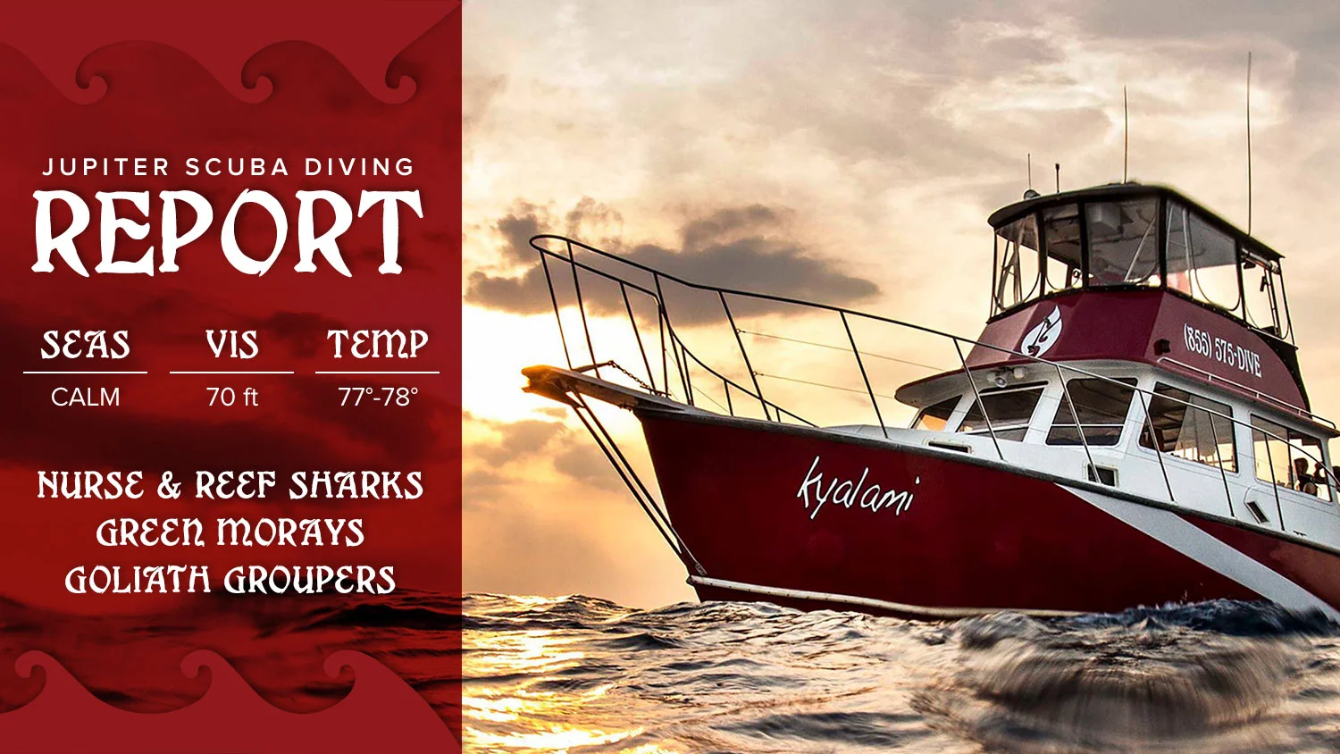 JupiterScubaDivingReport-Updated.jpg