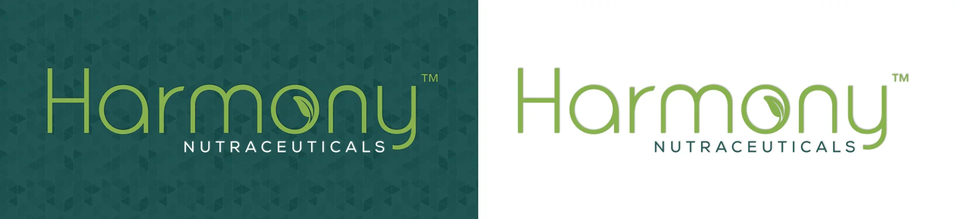 Haromy-Branding.jpg