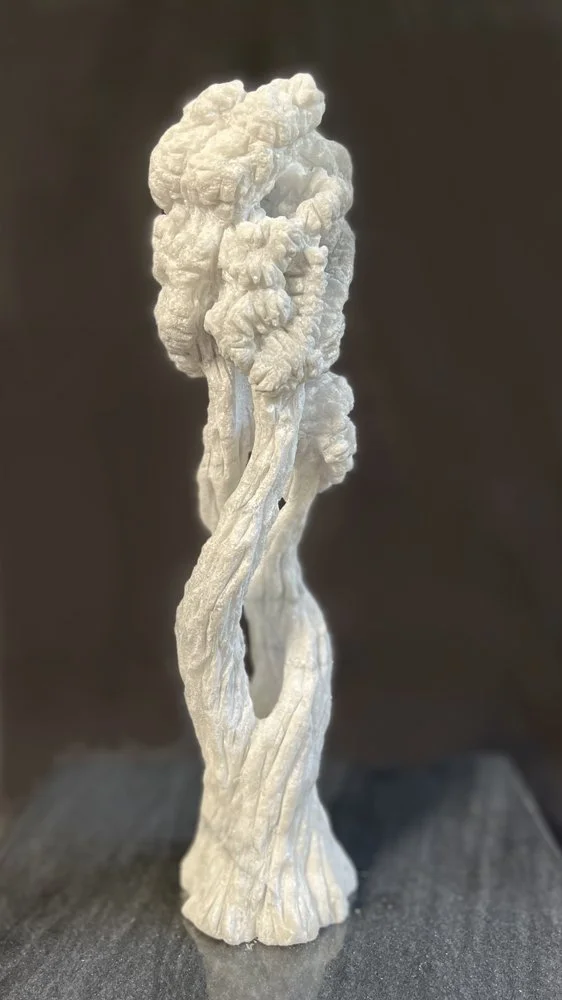 Tree of Life