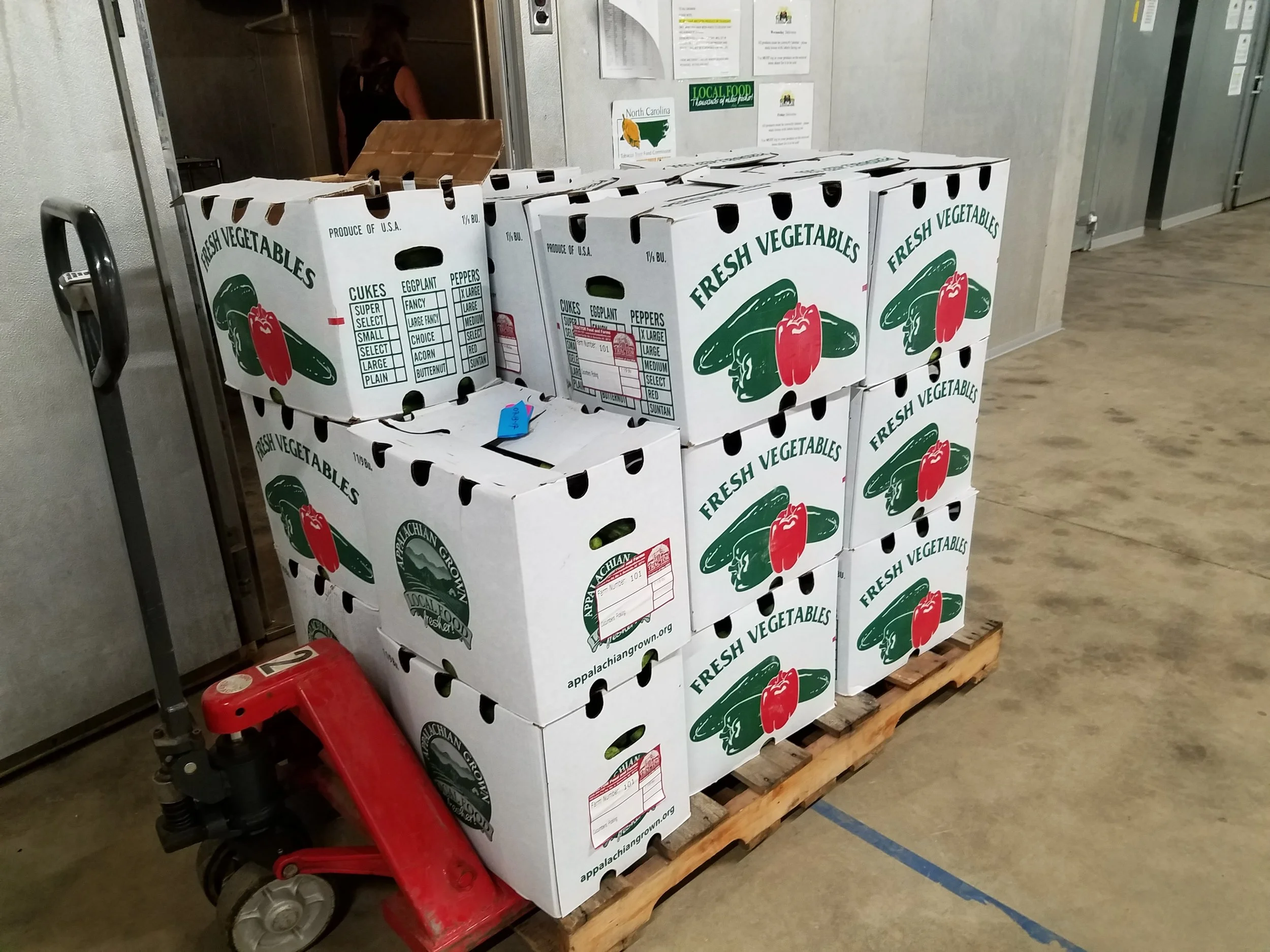 Boxes of fresh pickling cucumbers ready to go to market.
