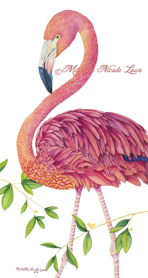 Deb Stanley Art Blog  How to draw flamingo, Art blog, Drawings