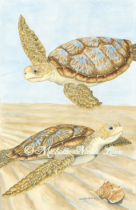 Coco Turtles with Conch