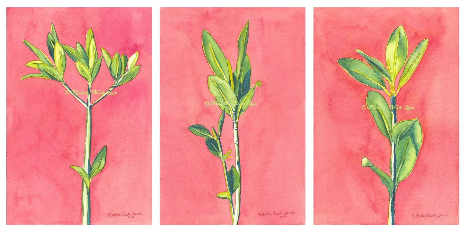 New Beginnings Mangrove Trio, Set of Three 15" x 23" Canvases
