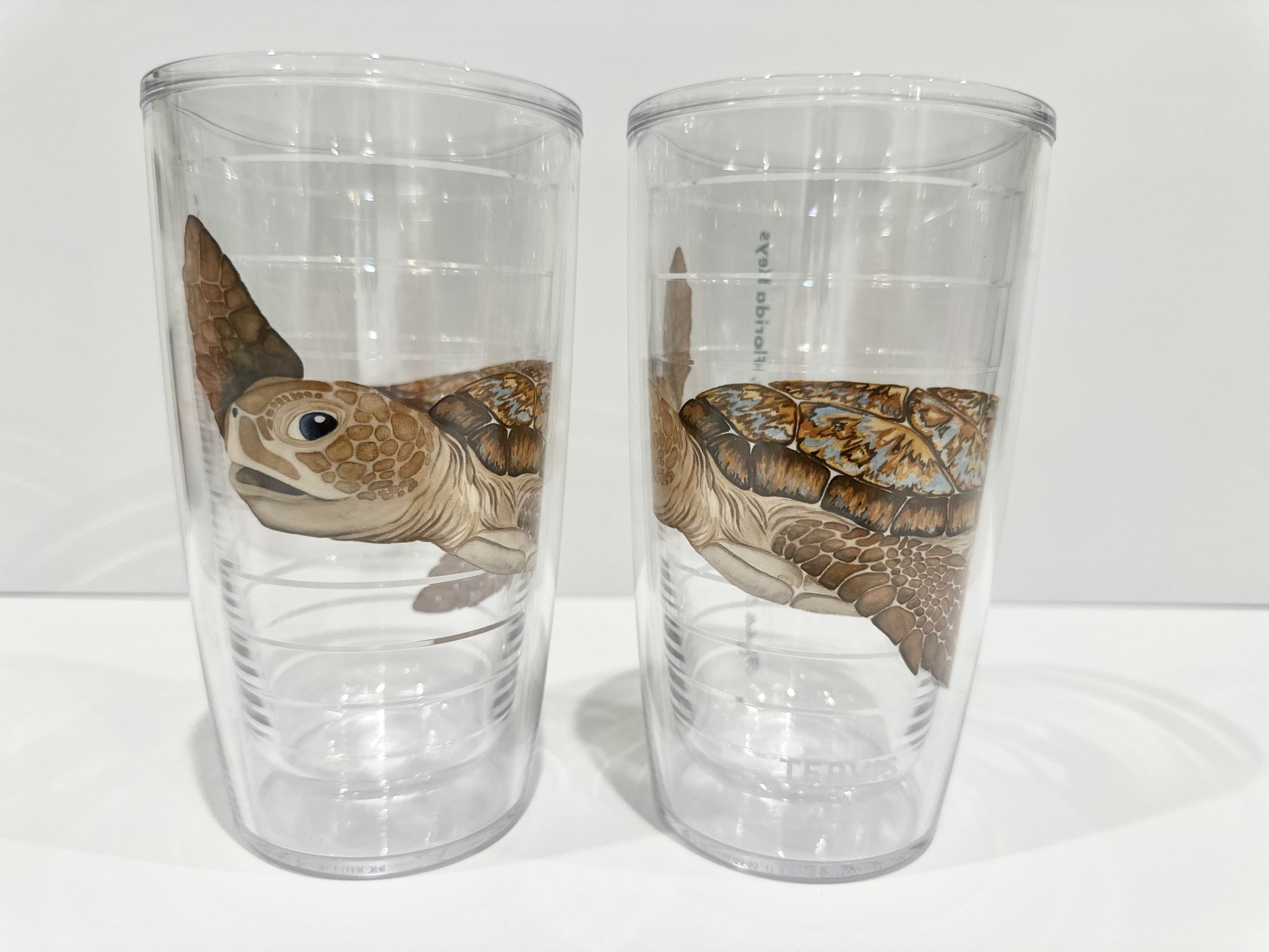 Turtle_Tervis_MNLowe.jpg
