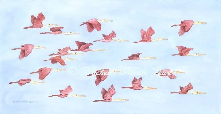 MNLowe_Flying_Spoonbills.jpg