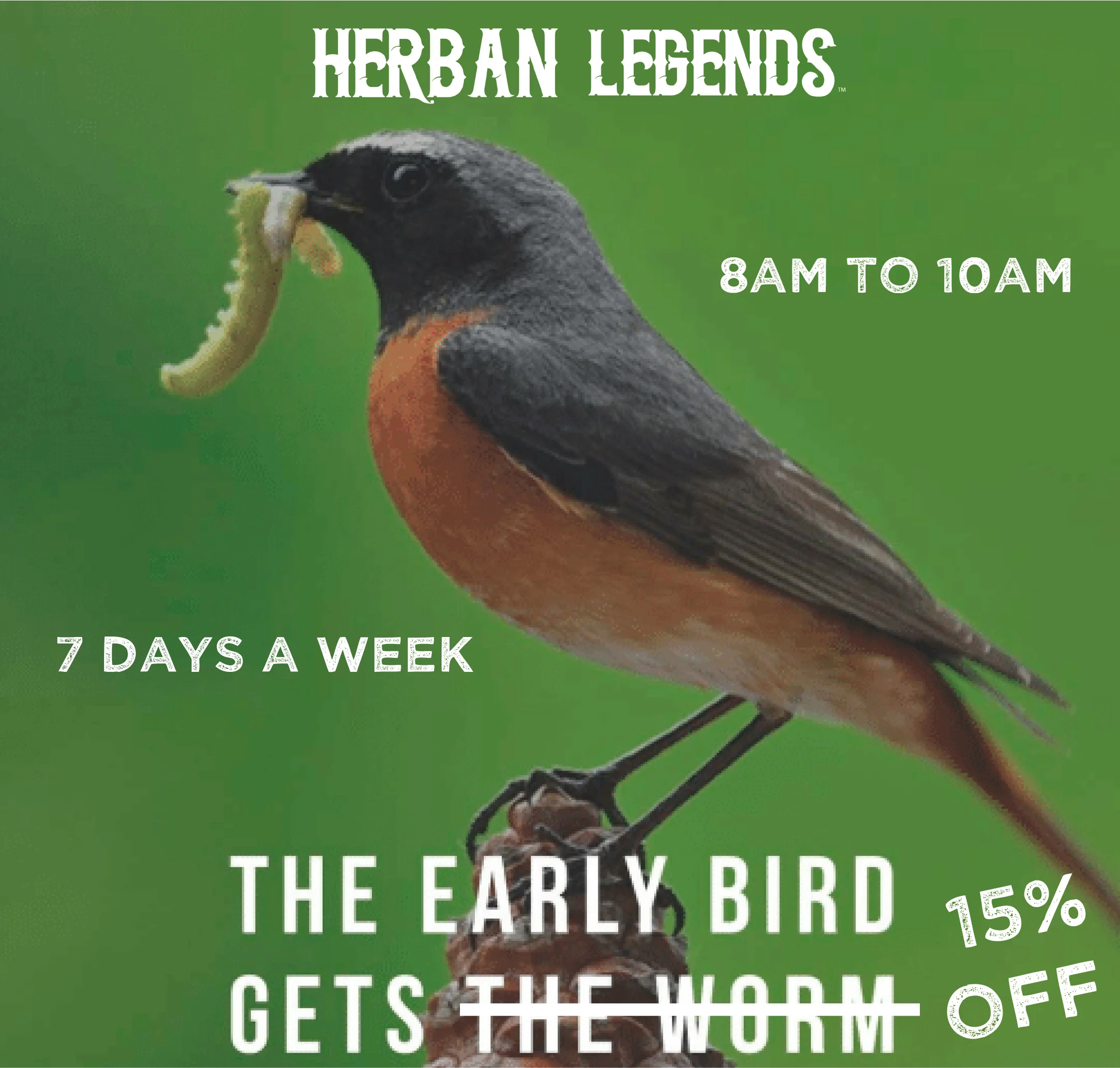 EARLY+BIRD+FLYER.jpg
