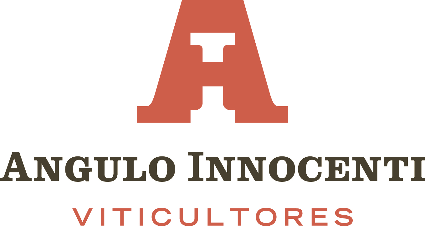 Angulo Innocenti Logo (Center Justify).jpg