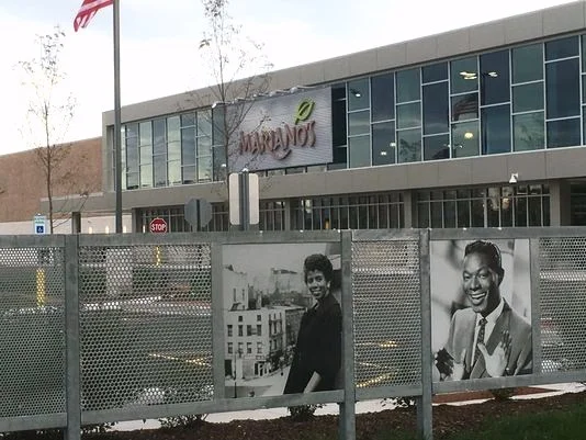fence_Marianos_Bronzeville_usa_today_lighter.jpg