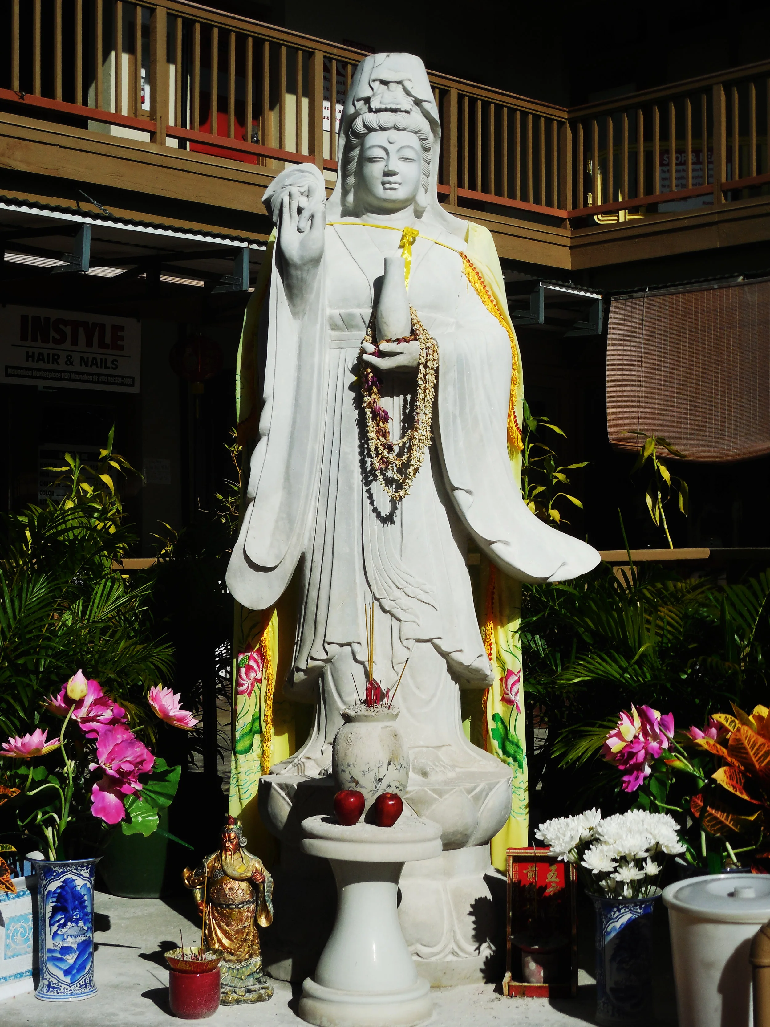 DSCN6398.jpg