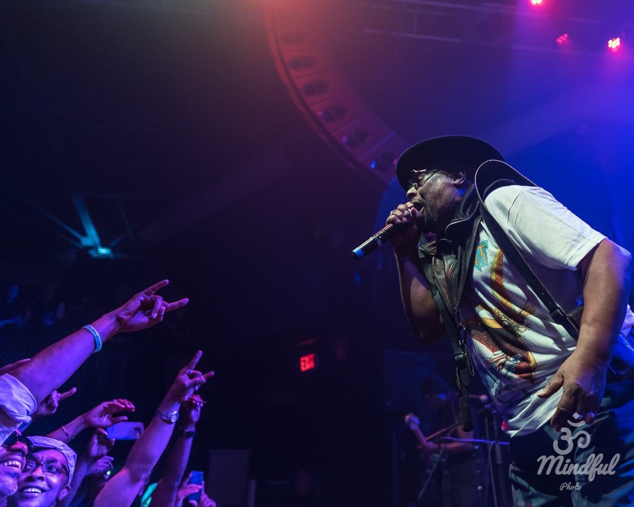 Website-George Clinton-3338.JPG