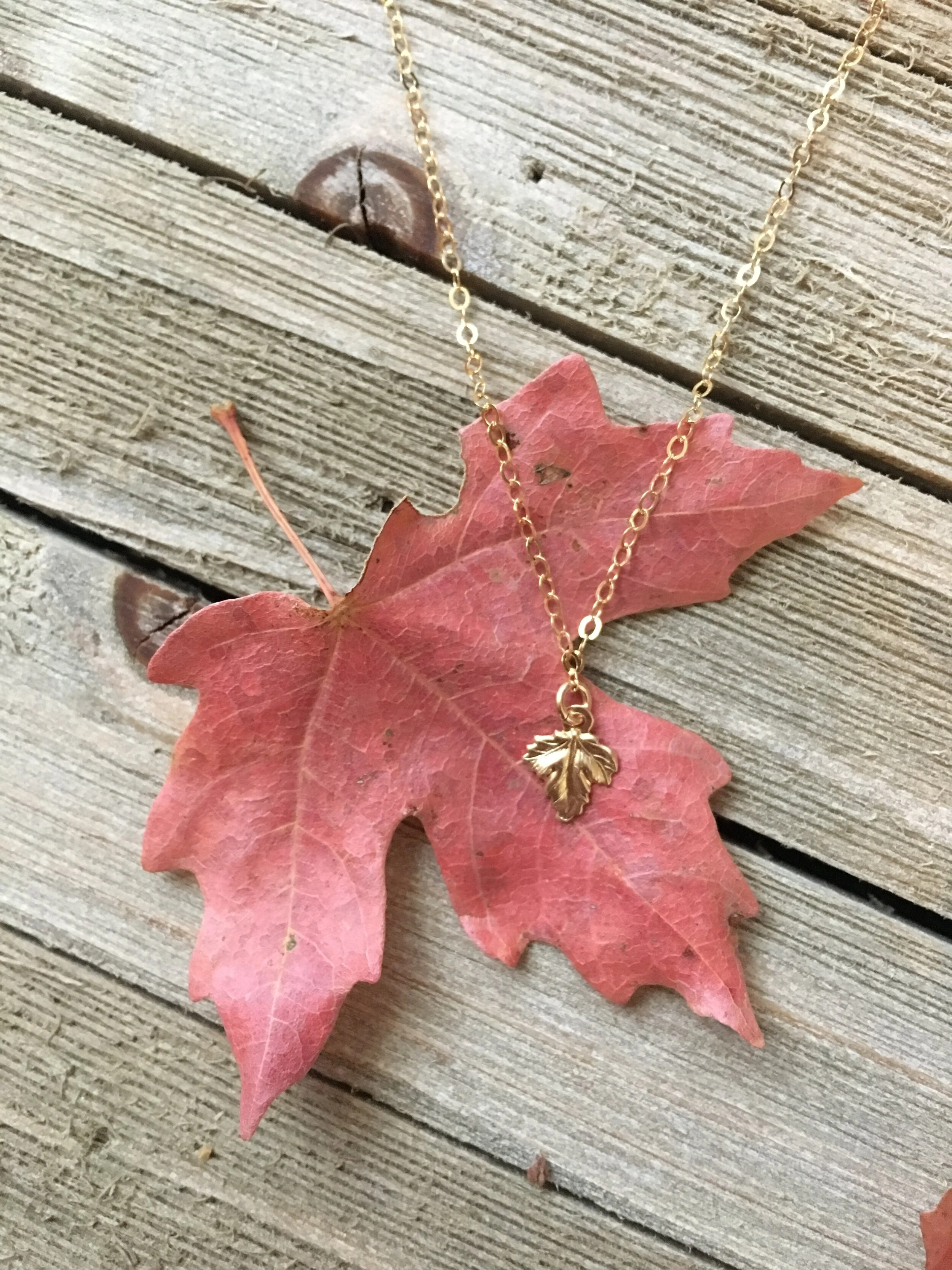 126EA080-C6D0-47CC-9F24-D5D5F0081AAF