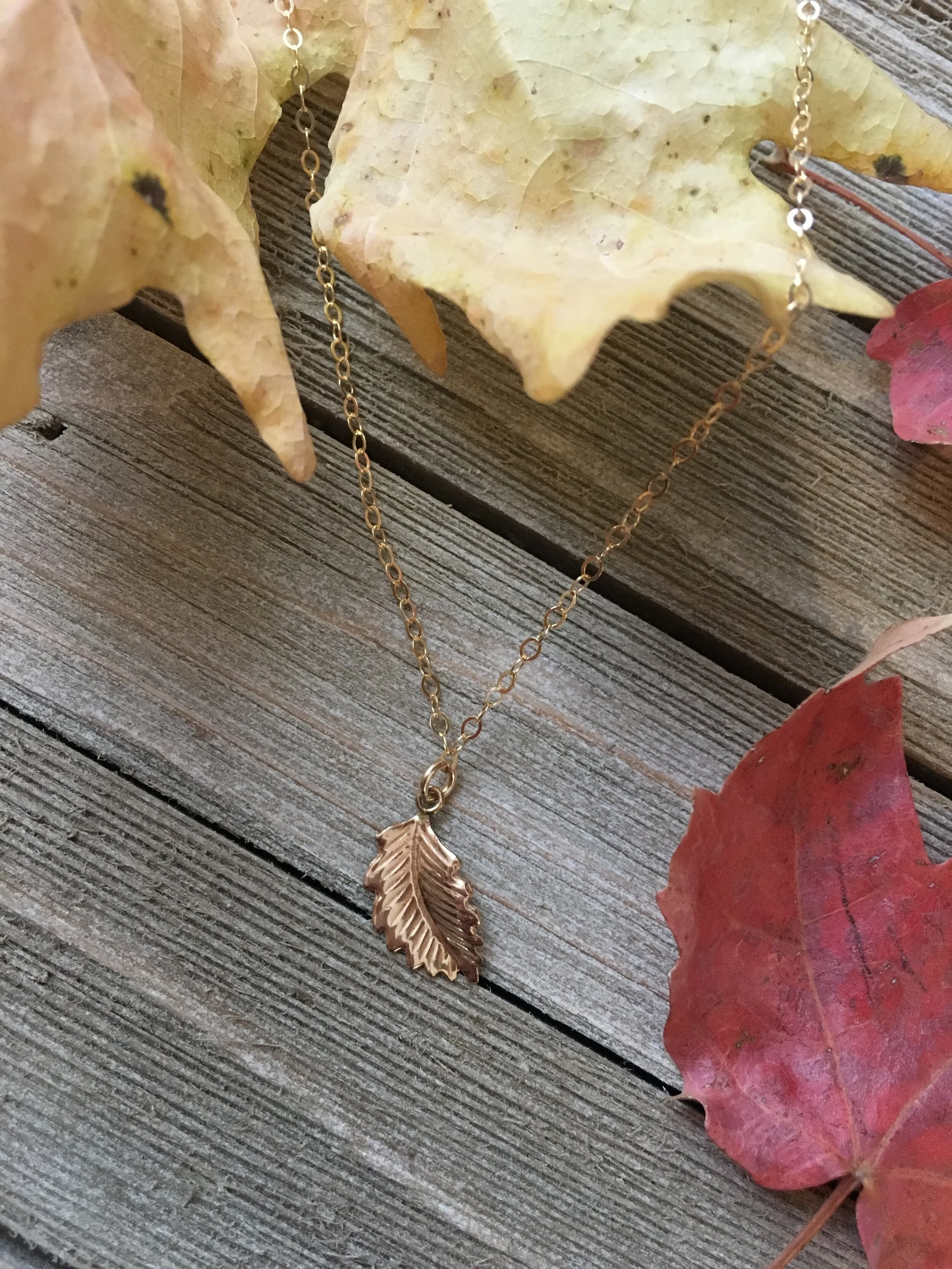 86A4500C-2D95-4E62-BC12-736EF8C02897