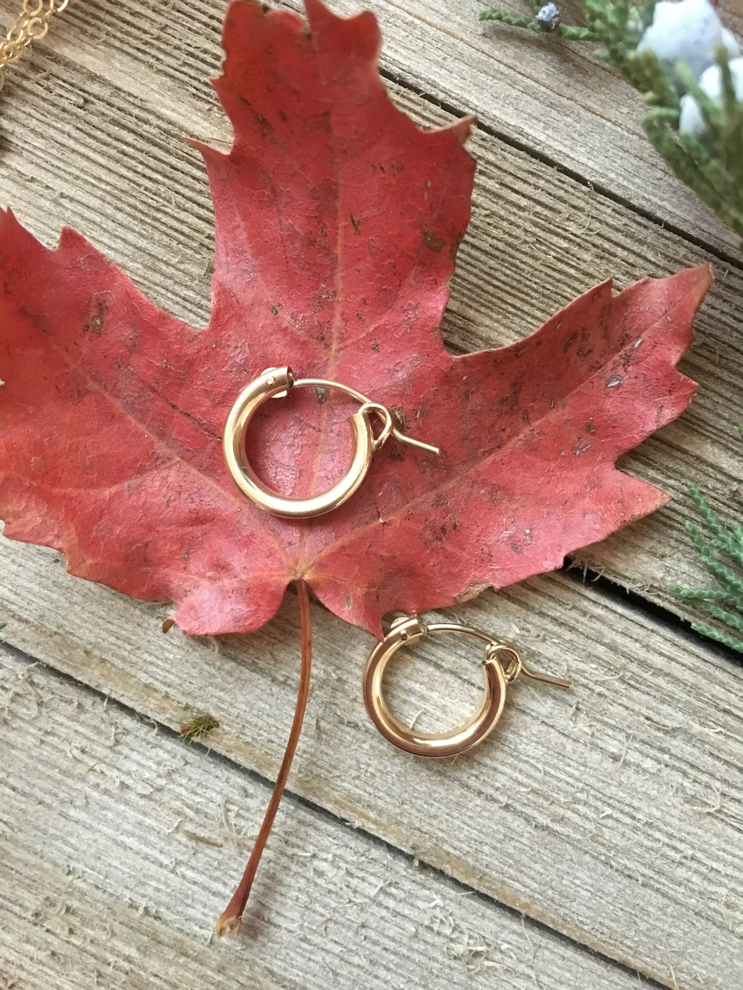 DACA1A36-7171-486C-B7CE-FD59ABBE26F9