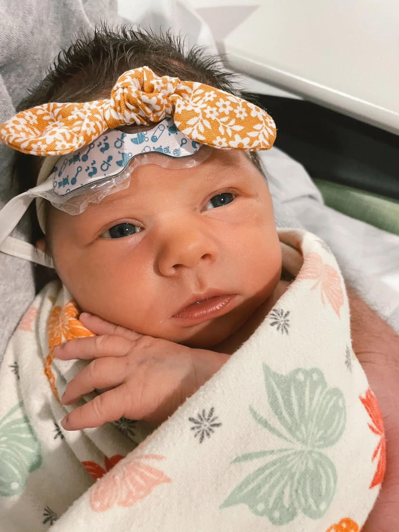 329A57CB-F1EB-4A03-BD7C-368D67CF0050