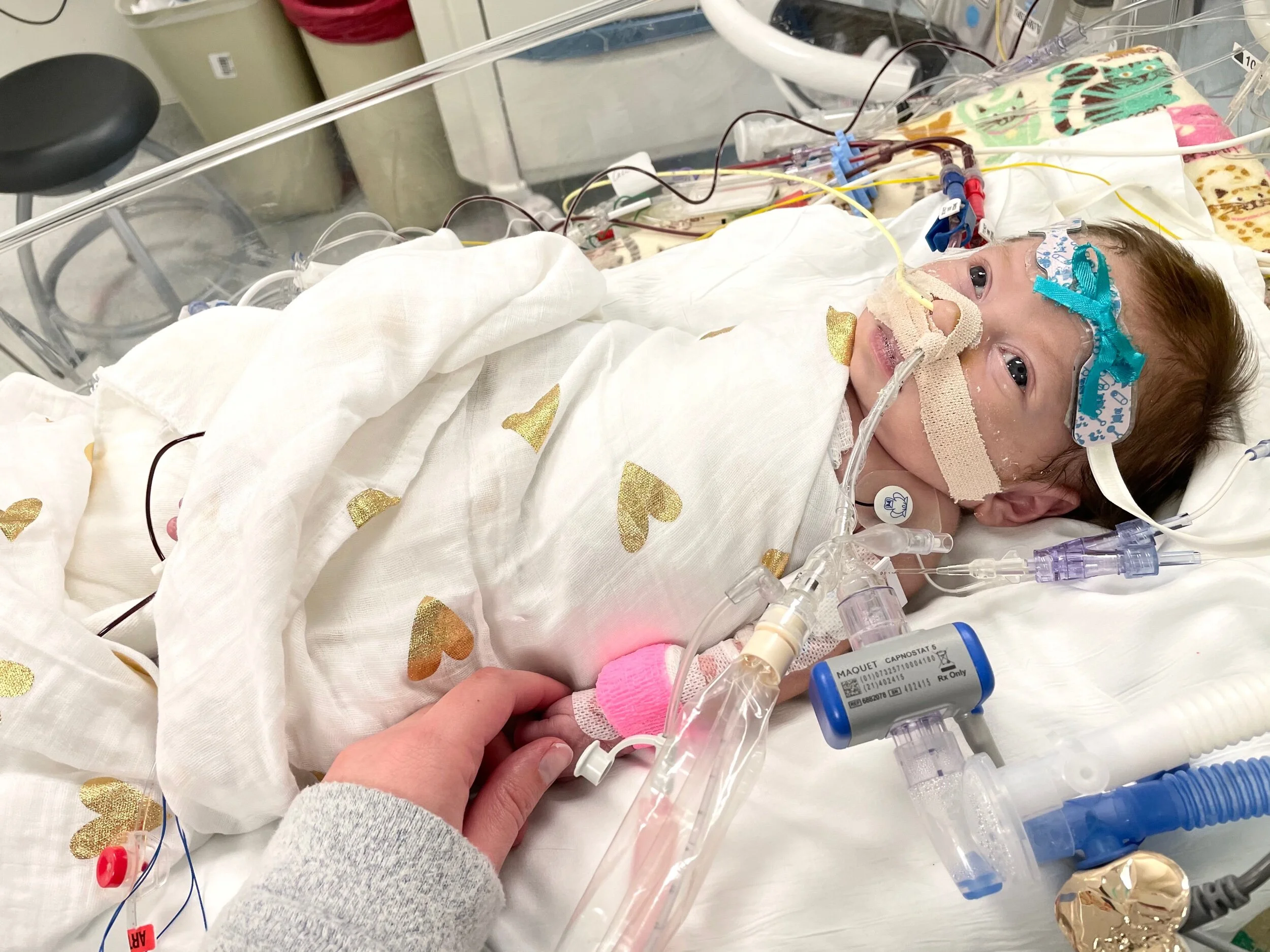 2B04F059-B918-4F5F-895A-4E9CA4755870