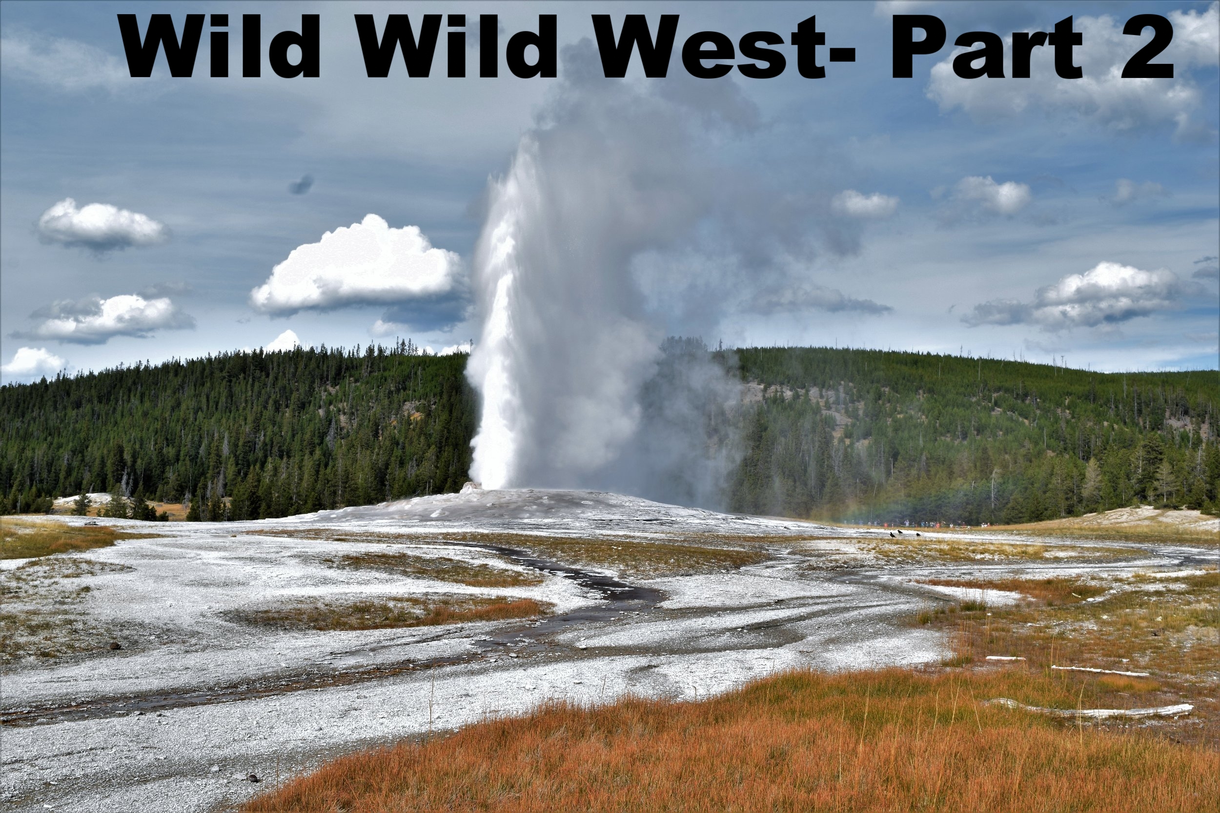 Grand Tetons& Yellowstone Upper Geyser Basin