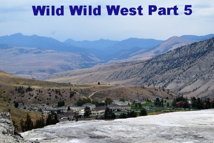 Mammoth Hot Springs