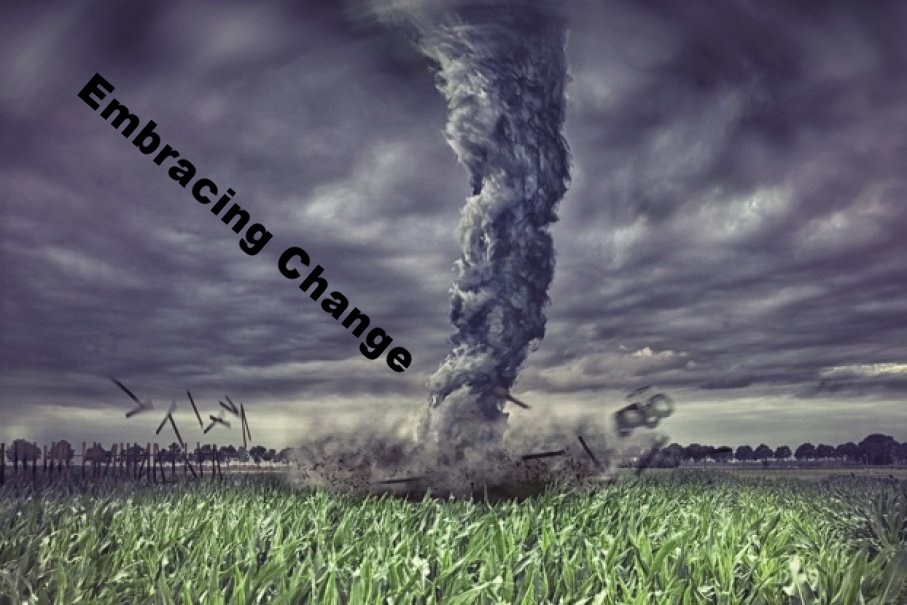 Embracing Change in our Everyday Chaos