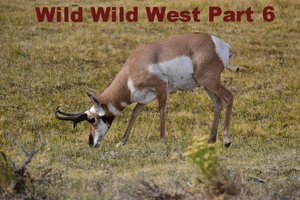 wild wild west part 6.jpg