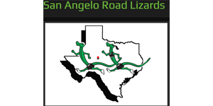 San Angelo Road Lizards