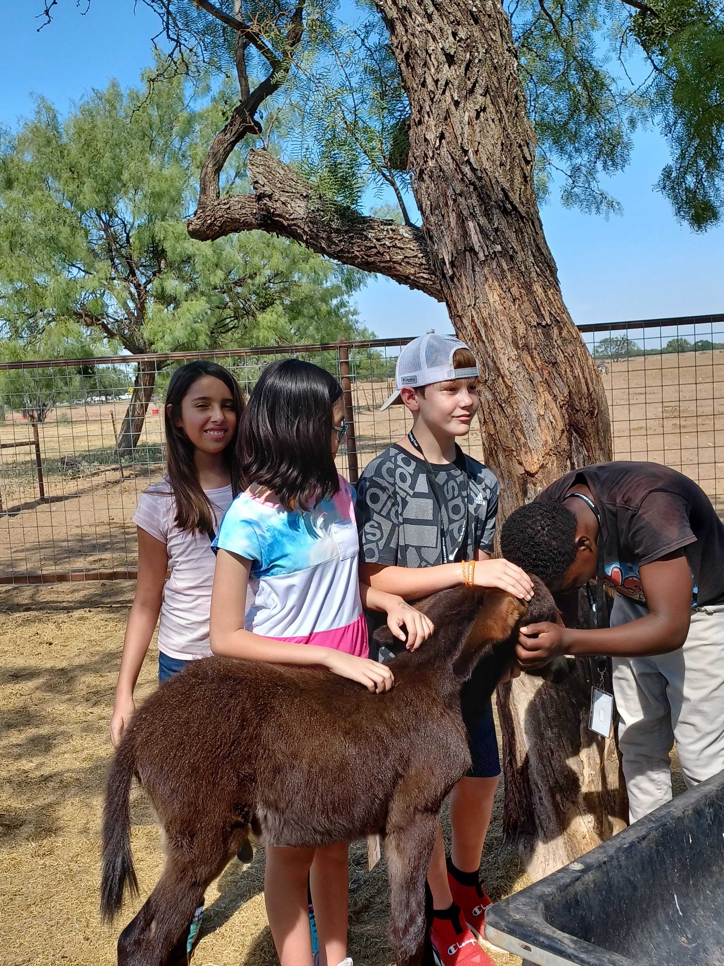 Devon, Lueke, Amelia, and Jolie Petting a Baby Donkey.jpg