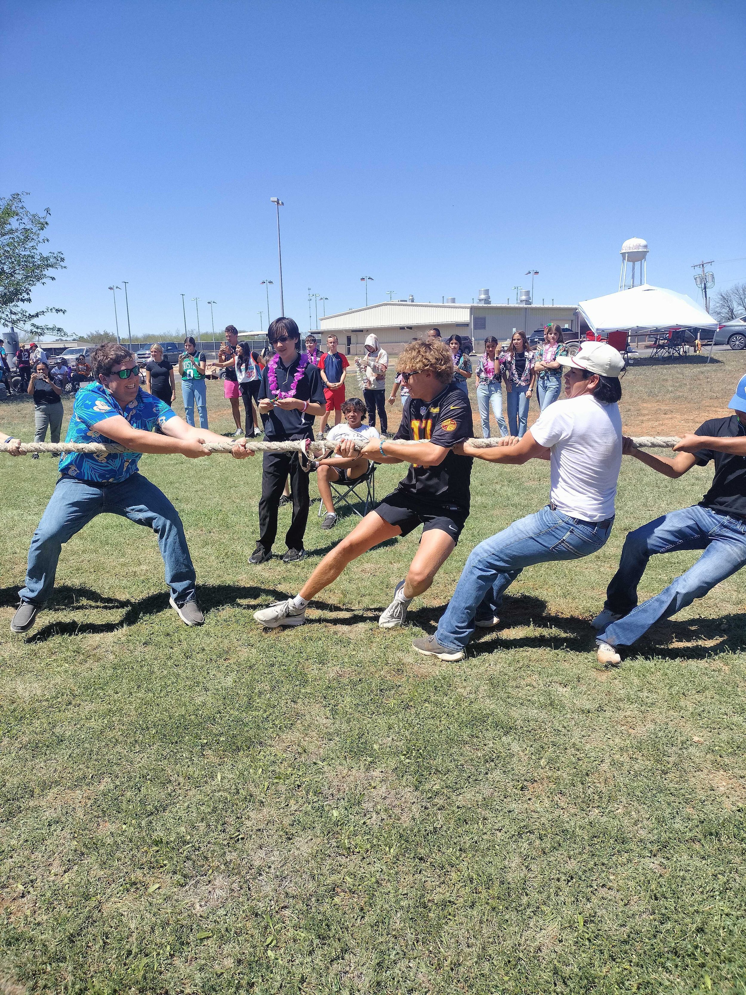 Tug of War.2 Rob.Lee.jpg