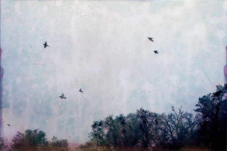 Diminution, 13