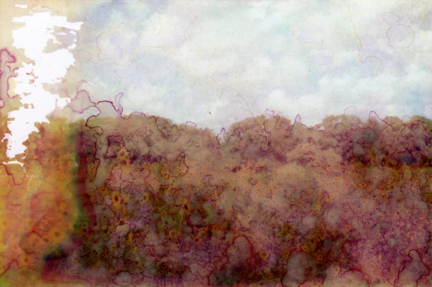 Diminution, 47