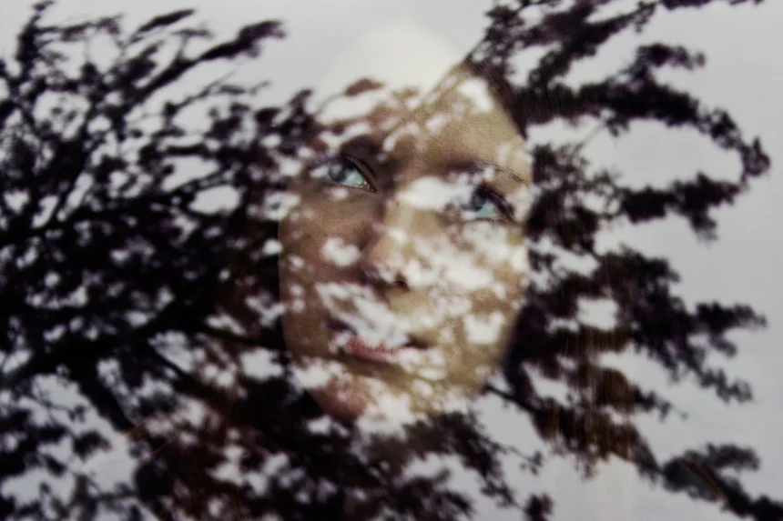 throughtrees.jpg