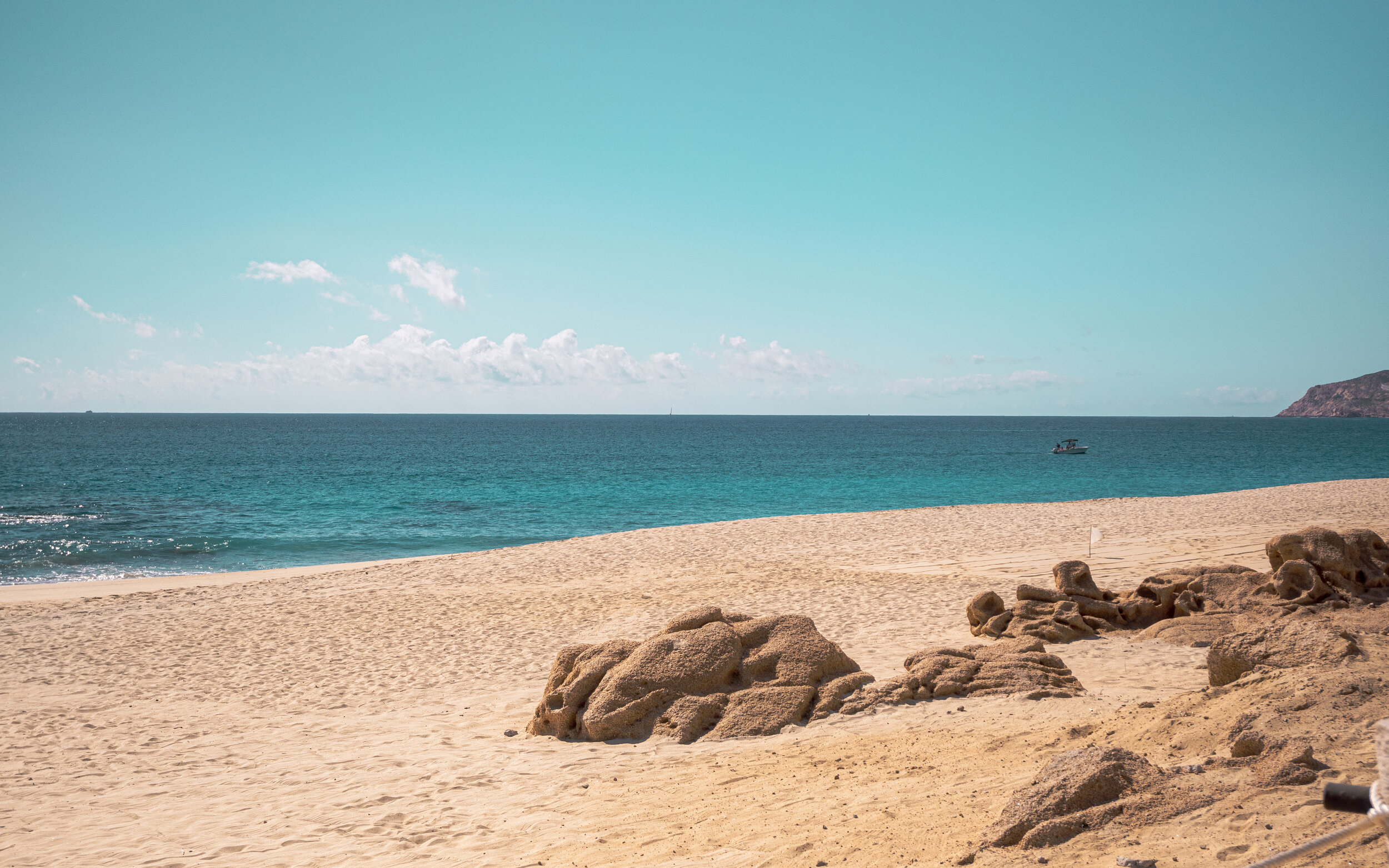 Beaches and Local Favorites 