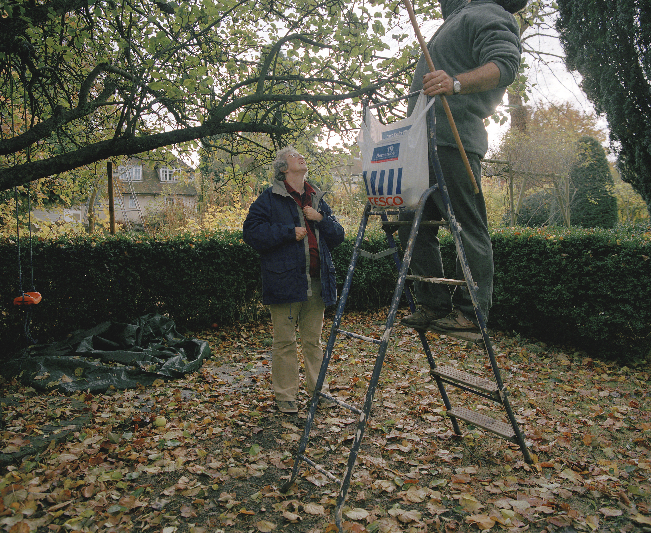 Apple Harvest.jpg