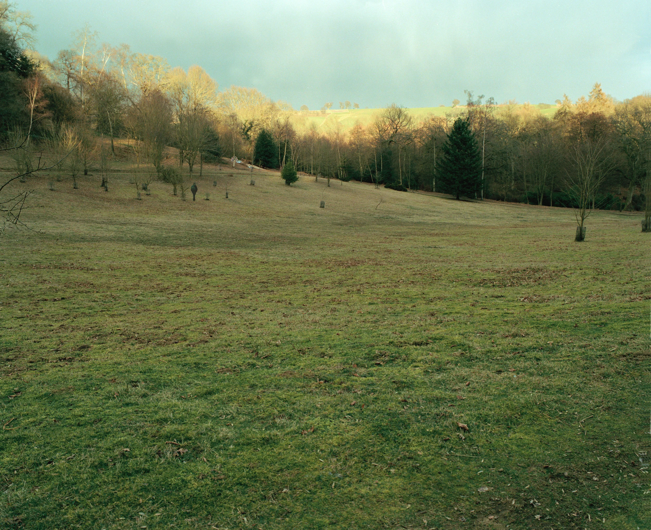 Winkworth.jpg