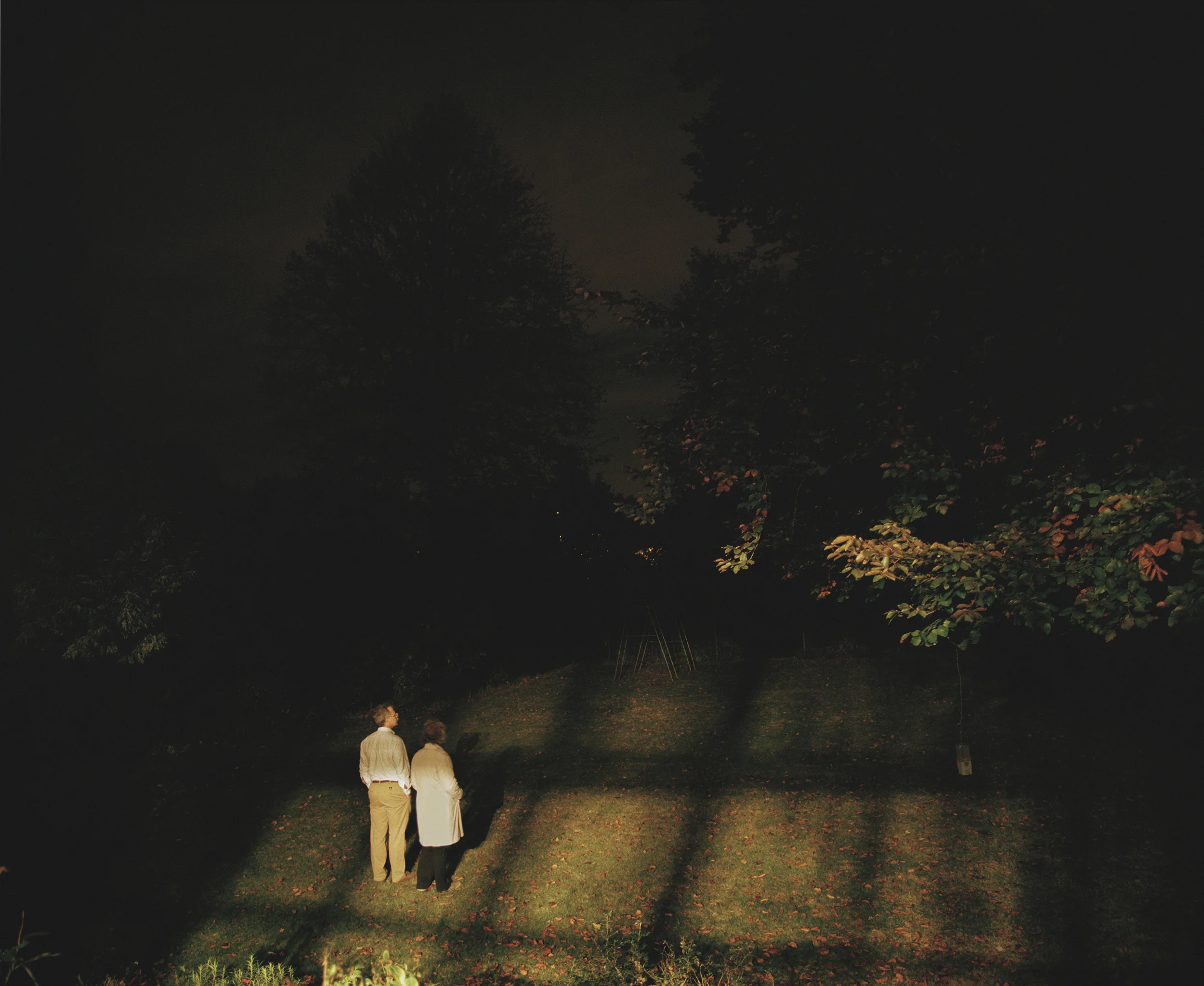 Evening in the Garden.jpg