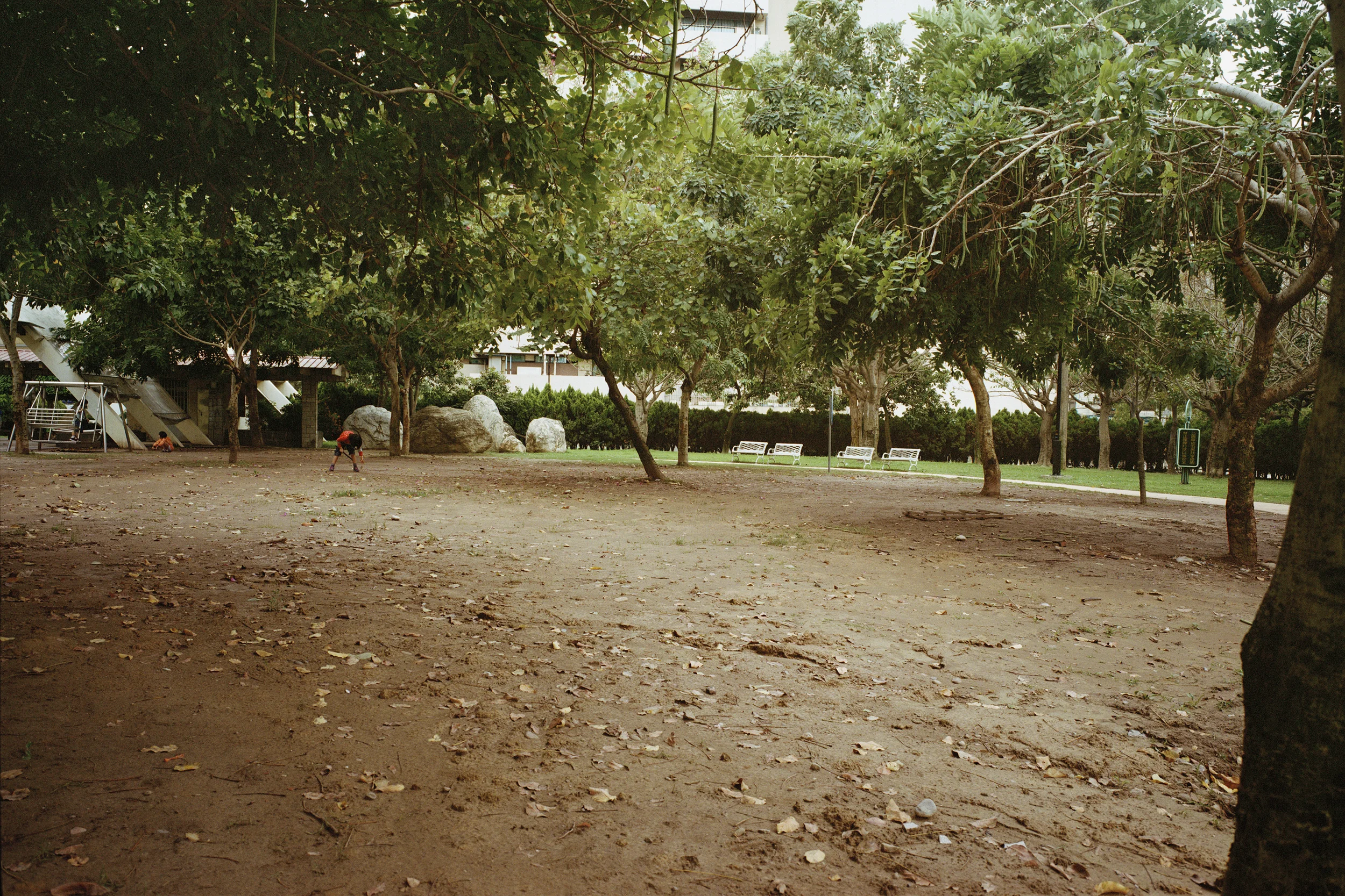 Boy in Park.jpg