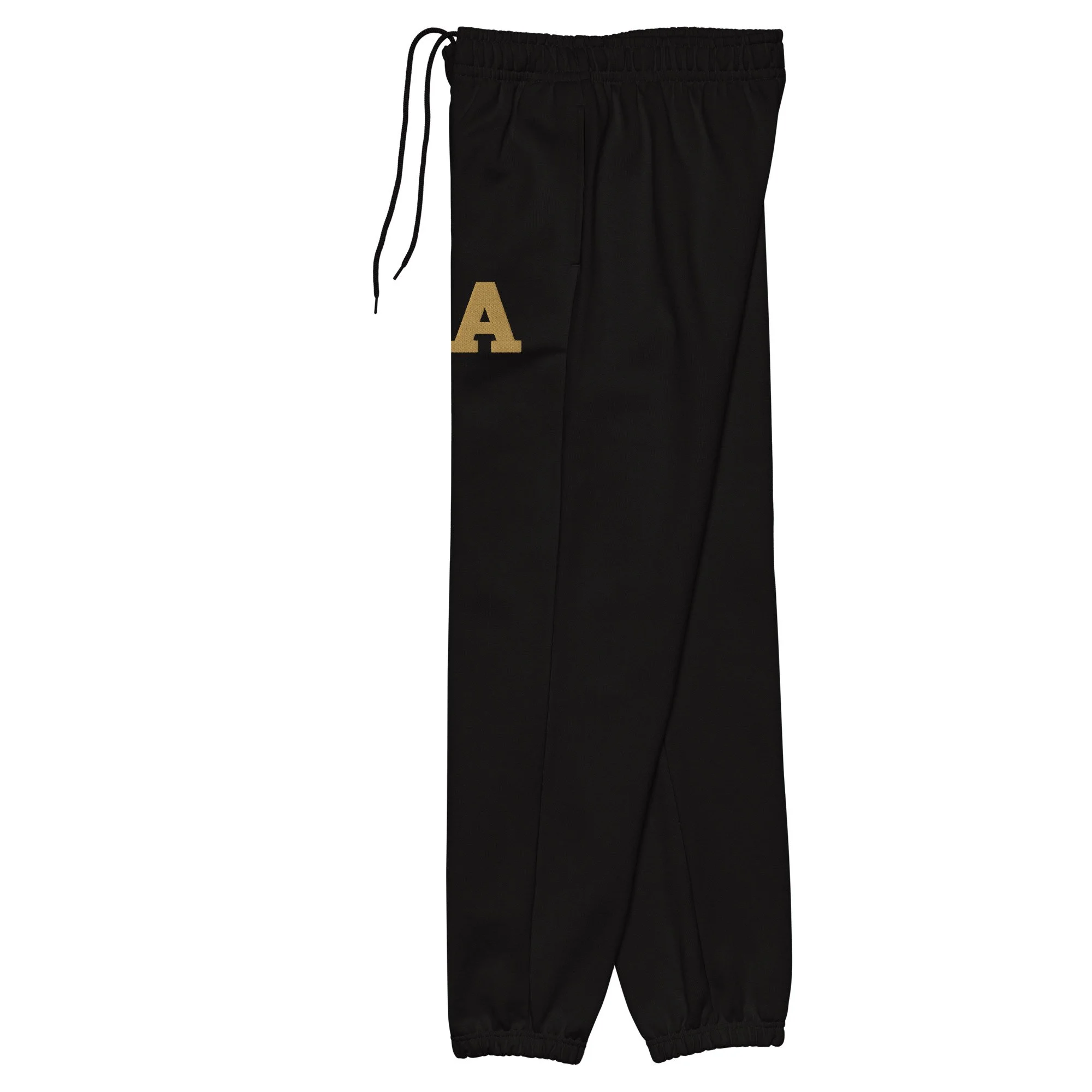 unisex-heavyweight-sweatpants-black-left-6946c5f54eee3.jpg