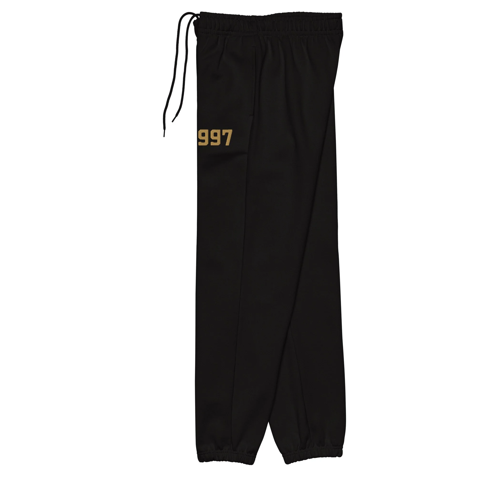 unisex-heavyweight-sweatpants-black-left-6952c1428af4a.jpg