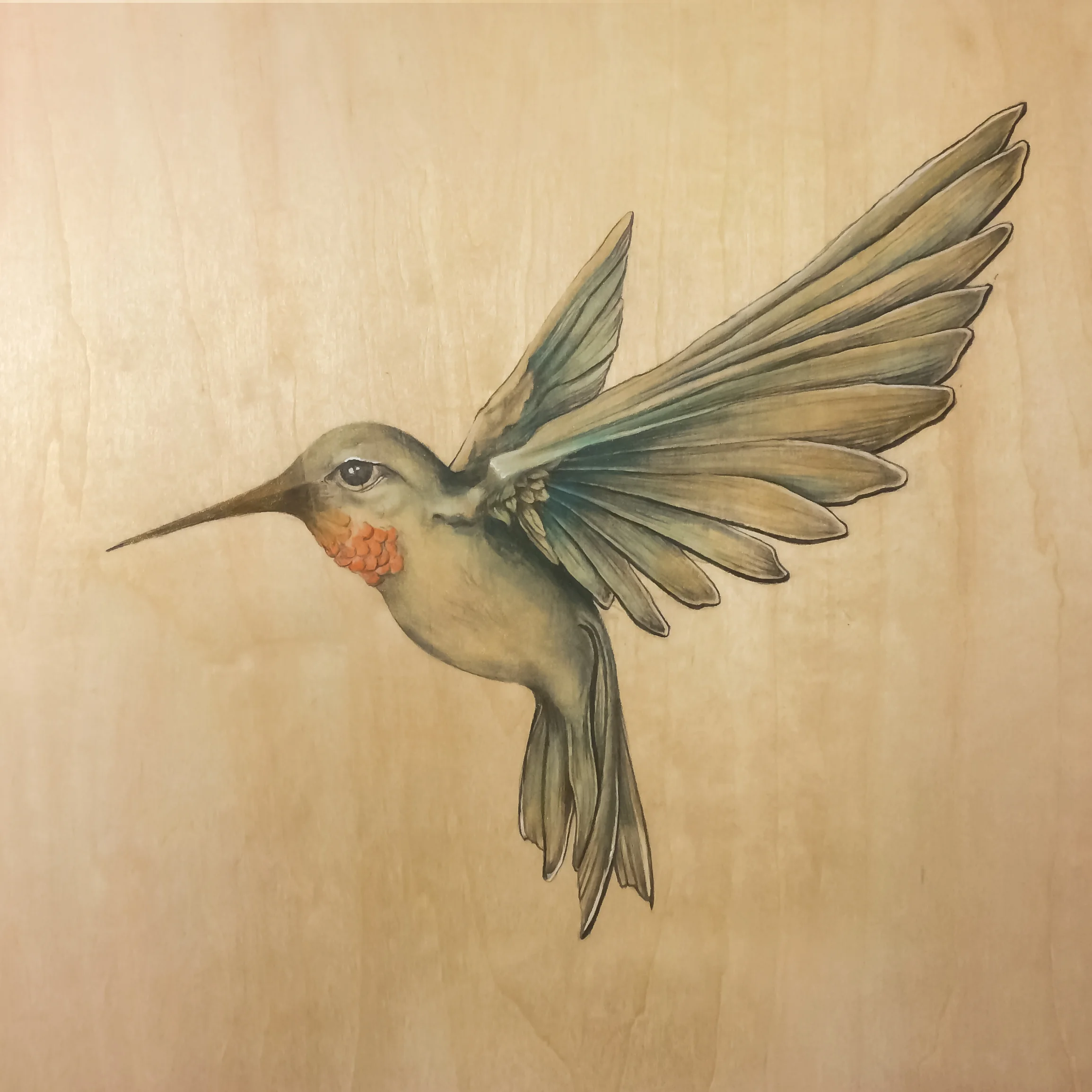 hummingbird.jpg