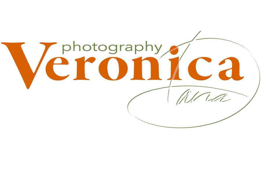 Veronica Dana Photography | advertising | portrait | commercial | wedding | photographer | Michigan |  